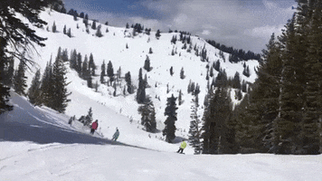 skiing snowboarding GIF by Justin