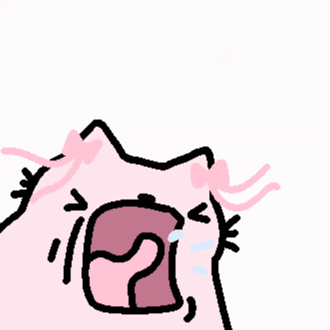 Spainnubcat GIF