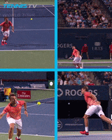 rogers cup toronto GIF by Tennis TV