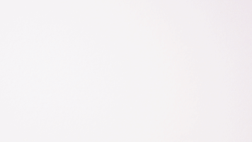 GIF by Studio Flox
