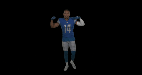 St Brown Football GIF by Detroit Lions - Find & Share on GIPHY