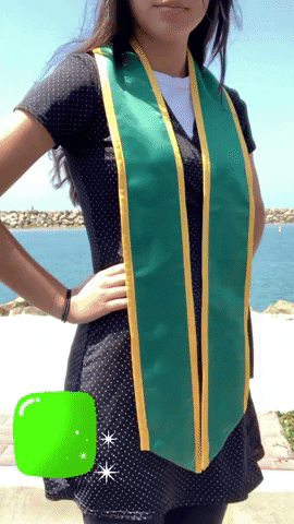 GIF by TheSashCompany