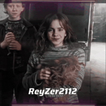 Harry Potter Expecto Patronum GIF