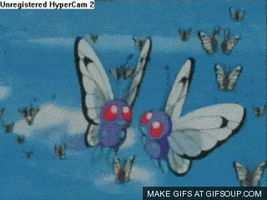 butterfree teddy