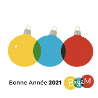 Bayam-voeux-bayard-bayam-9UvWqeCrAT0NdpXzKp