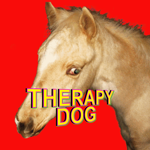 dog horse GIF by BuzzFeed Animation