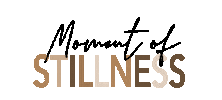 Stillness Sticker by studiosculpt