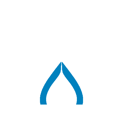 Alb Filter Sticker