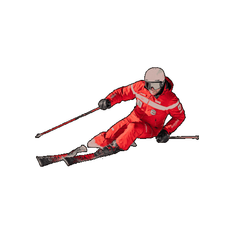 Skiing Skiinstructor Sticker by SkiSchoolOrtisei
