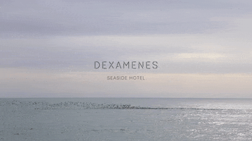 Sea Ocean GIF by Dexamenes Seaside Hotel