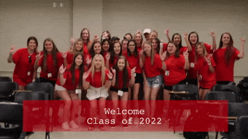 200.gif?cid=fc005b08f293130fe769ae466296d040ee00b4c45947d4a5&rid=200.gif&ct=g