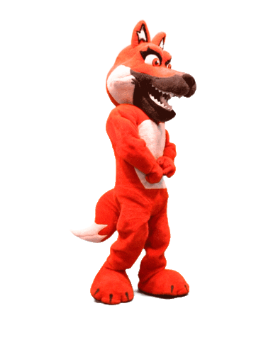 League Of Legends Lol Sticker by Red Canids