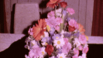 flowers elevator GIF by Epitaph Records