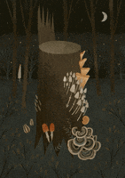 glowing magic forest GIF