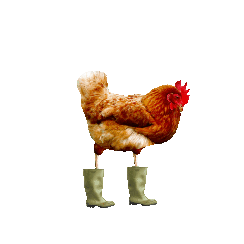 de Tuinbroekies Sticker