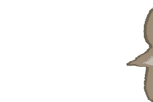 Family Pride Sticker by CCRM Fertility