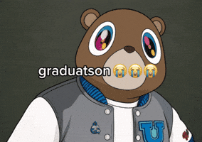 Bear Graduation GIF