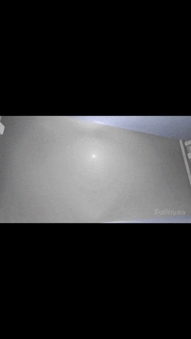 Fridge GIF