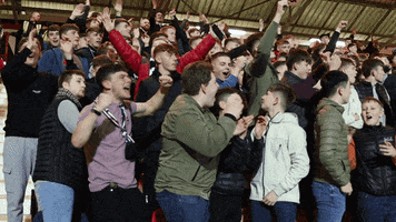 Celebration Fans GIF by Dunfermline Athletic Football Club