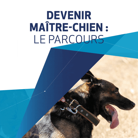 Groupe AGPM GIF
