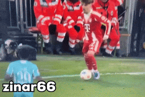 Bayern Karl GIF