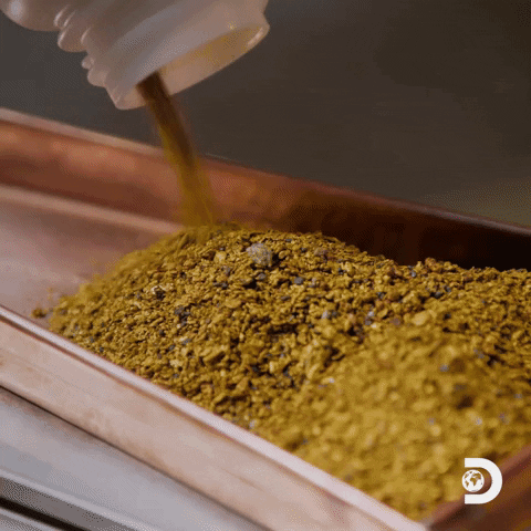 Todd Hoffman Gold GIF by Discovery