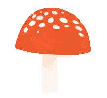 Fall Forest Sticker