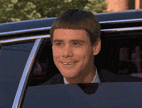 Dumb And Dumber GIFs - Find & Share on GIPHY