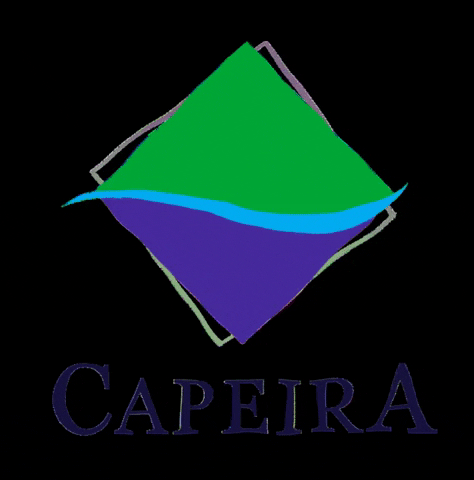 Capeira GIF