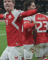 DBU-denmark-danmark-dbu-9bENovNZ1G9Pi89kNi