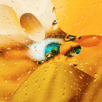 Epic Game Gifs Vol.1 on Behance