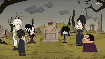 The Loud House Cartoons GIF by Nickelodeon