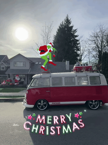 Merry Christmas Ruby GIF by TheMacnabs