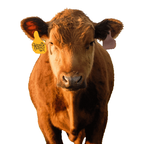 Sticker by Widnor Farms