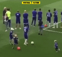 Chelsea Fc Lol GIF by voetbalflitsen