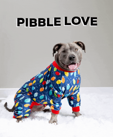 pittieclothing pitbull pit bull pibble bully breed GIF