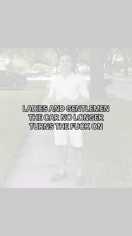 Ladies And Gentlemen Car GIF