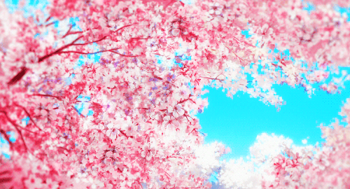 petals