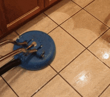 Carpet Cleaning Bridgeport Pa GIF