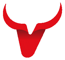 Touro Brasil Sticker