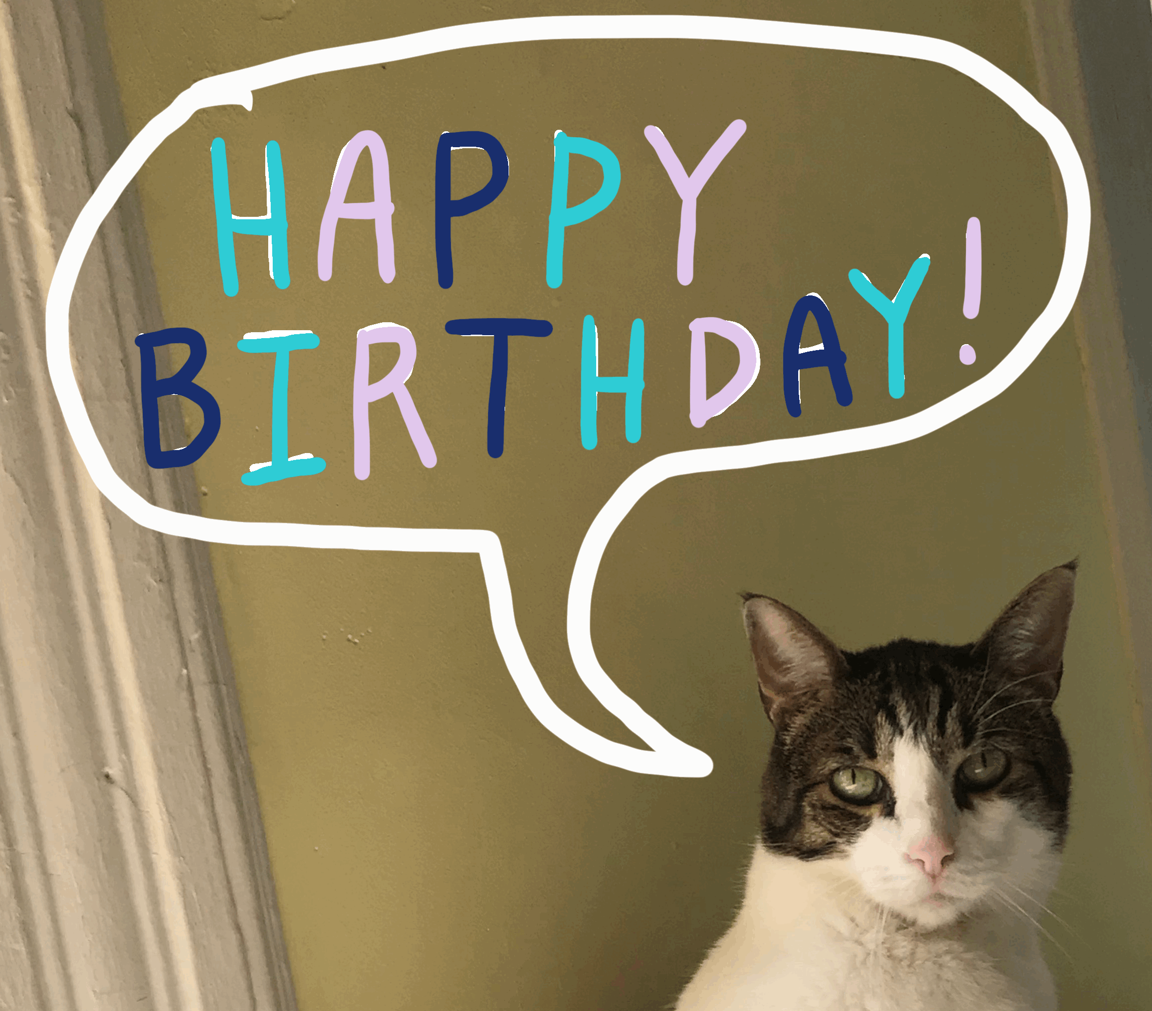 Featured image of post Animated Happy Birthday Gif Cat What they will remember is the two seconds of endlessly looping amusement you provided them in the form of an animated gif