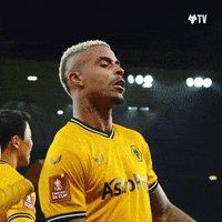 Premier League Dancing GIF by Wolves