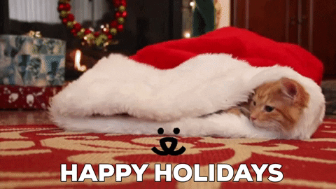 Holiday-cat GIFs - Get the best GIF on GIPHY