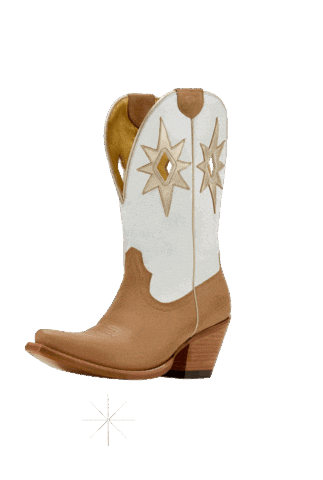 Sparkle Starlight Sticker by Ariat