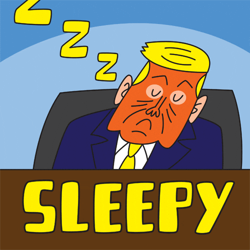 Sleepy Trump GIF by joeyahlbum