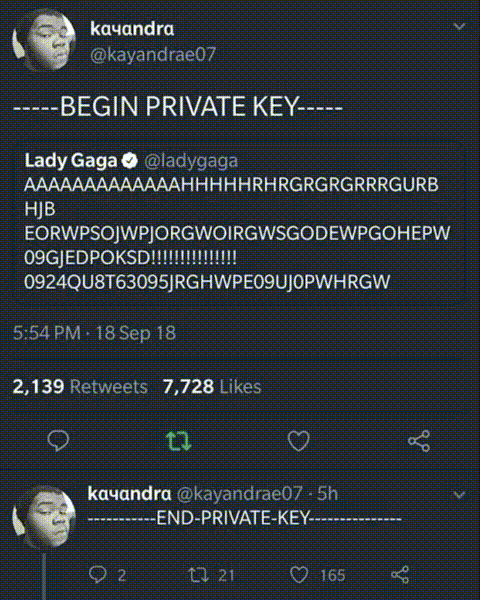 Lady Gaga Humor GIF