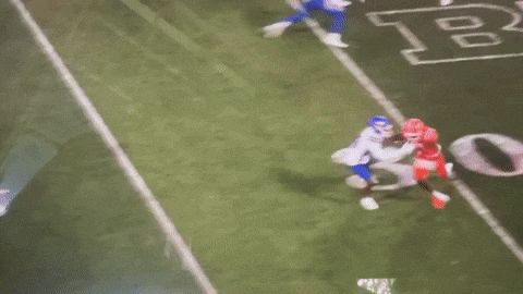 giphy.gif