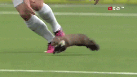 soccer GIF