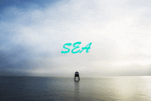 200.gif?cid=fc005b08764e4d16908c703d8a90358087ba3506e0447be9&rid=200.gif&ct=g