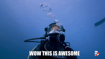 TV gif. Person on Shark Week in full diver gear, underwater, looking up and around. Text, "wow this is awesome."
